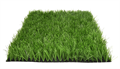 Искусственная трава Premium Grass Football Beginner 40 TMS-PG-B40 Искусственная трава Premium Grass Football Beginner 40 TMS-PG-B40