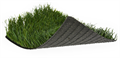 Искусственная трава Premium Grass FIFA Plus 60 TMS-PG-FF60 Искусственная трава Premium Grass FIFA Plus 60 TMS-PG-FF60