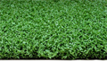 Искусственная трава CCGrass – Golf TMS-GD-13 - фото 588