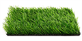 Искусственная трава CCGrass - Sense ECO 40-15 12000 TMS-PG-9148 - фото 600