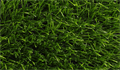Искусственная трава CCGrass - Sense ECO 40-15 12000 TMS-PG-9148 Искусственная трава CCGrass - Sense ECO 40-15 12000 TMS-PG-9148