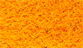 Искусственная трава Premium Grass - Sports 20 Orange 12000 TMS-PGN-04 Искусственная трава Premium Grass - Sports 20 Orange 12000 TMS-PGN-04