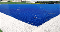 Поле для падл-тенниса Premium Grass Padel Tennis 12 Black (20 х 10 м) TMS-PG-PTBW12 Поле для падл-тенниса Premium Grass Padel Tennis 12 Black (20 х 10 м) TMS-PG-PTBW12