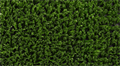 Искусственная трава CCGrass - YEII 20 TMS-PG-3962 Искусственная трава CCGrass - YEII 20 TMS-PG-3962