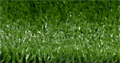 Искусственная трава CCGrass — Multisport 20 12000 TMS-PG-2131 - фото 677