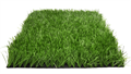 Искусственная трава Premium Grass FIFA Pro 60 TMS-PG-FFP60 Искусственная трава Premium Grass FIFA Pro 60 TMS-PG-FFP60