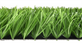 Искусственная трава Premium Grass FIFA Pro 60 TMS-PG-FFP60 Искусственная трава Premium Grass FIFA Pro 60 TMS-PG-FFP60