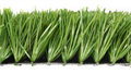 Искусственная трава Premium Grass FIFA Competition 60 TMS-PG-FFC60 Искусственная трава Premium Grass FIFA Competition 60 TMS-PG-FFC60