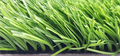 Искусственная трава Forio Nature 40 TMS-PG-9333 Искусственная трава Forio Nature 40 TMS-PG-9333
