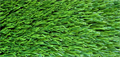 Искусственная трава Forio Nature 40 TMS-PG-9333 Искусственная трава Forio Nature 40 TMS-PG-9333