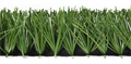 Искусственная трава Premium Grass FIFA Champion 60 TMS-PG-FCN60 Искусственная трава Premium Grass FIFA Champion 60 TMS-PG-FCN60