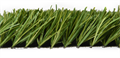 Искусственная трава Premium Grass Football Beginner Plus 40 TMS-PG-FB40 Искусственная трава Premium Grass Football Beginner Plus 40 TMS-PG-FB40
