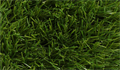 Искусственная трава CCGrass - Libra 60-14 TMS-PG-4494 Искусственная трава CCGrass - Libra 60-14 TMS-PG-4494