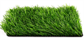 Искусственная трава CCGrass - Sense ECO 60-14 TMS-PG-5298 - фото 736