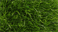 Искусственная трава CCGrass - Sense ECO 60-14 TMS-PG-5298 Искусственная трава CCGrass - Sense ECO 60-14 TMS-PG-5298