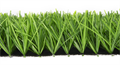 Искусственная трава Premium Grass Football Performance 50 TMS-PG-FP50 Искусственная трава Premium Grass Football Performance 50 TMS-PG-FP50