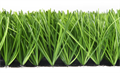Искусственная трава Premium Grass Football Performance 60 TMS-PG-FP60 Искусственная трава Premium Grass Football Performance 60 TMS-PG-FP60